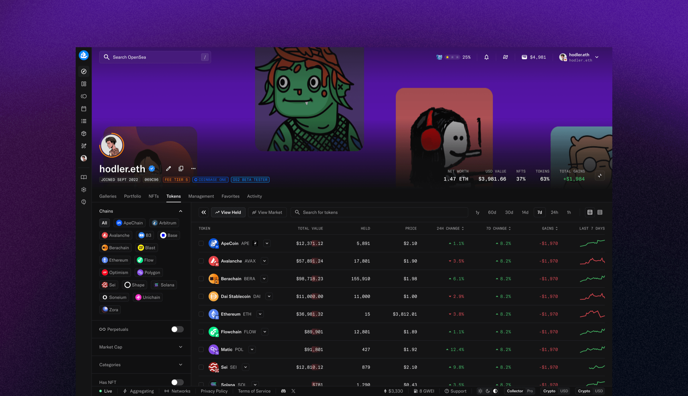 OpenSea user profile with NFT gallery and multi-chain token holdings