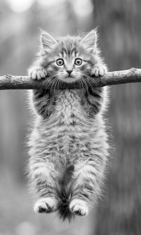 Hang in there