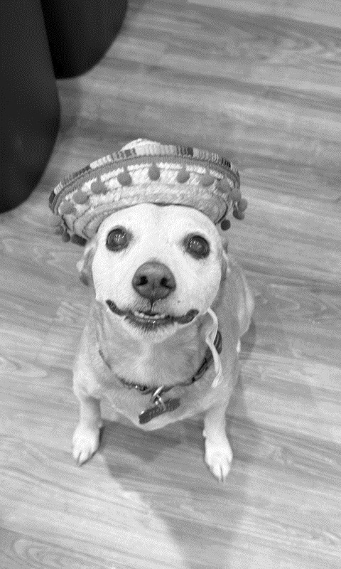 Sombrero sitting
