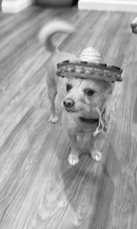 Sombrero standing