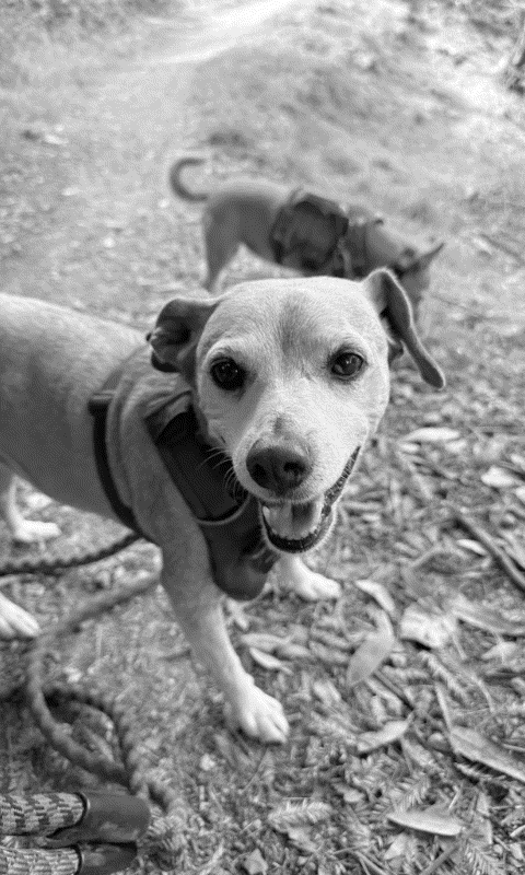 Trail buddies